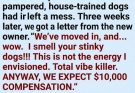 We sold a spotless home—then got blamed for “bad vibes.”